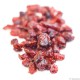 Cranberry Emincée Sucrée Séchée US 92008