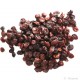 Cranberry Entière Sucrée Séchée Canada Pdt issu Agriculture biologique FR BIO-01