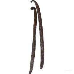 Vanille Bourbon TK en gousses de Madagascar - Longueur 15 cm