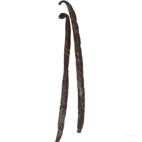 Vanille Bourbon TK en gousses de Madagascar - Longueur 15 cm